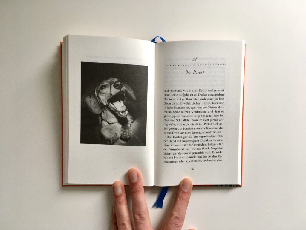 Doppelseite aus dem Buch »Gesichter – Portraits einiger Hunde« von Vita Sacjville-West und Laelia Goehr