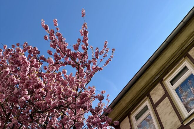 Monatsrückblick April 2025