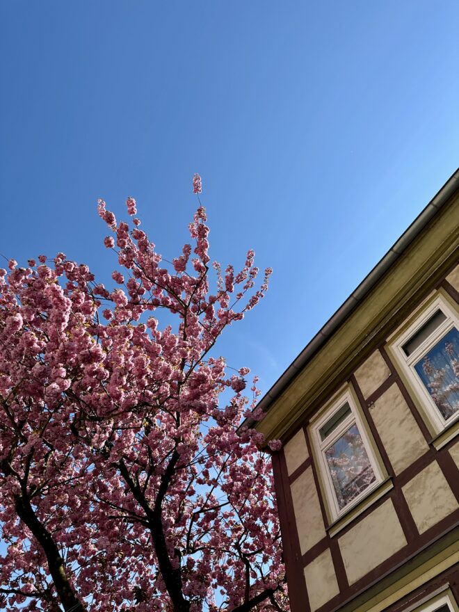 Monatsrückblick April 2025