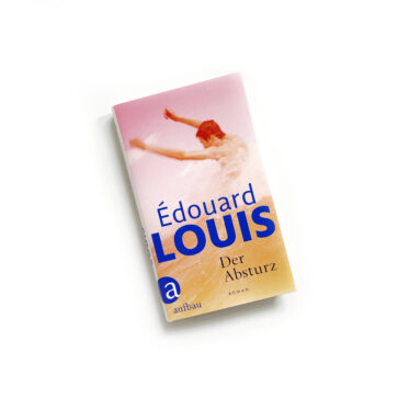 Louis, Der Absturz, Cover