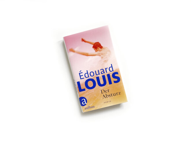 Louis, Der Absturz, Cover