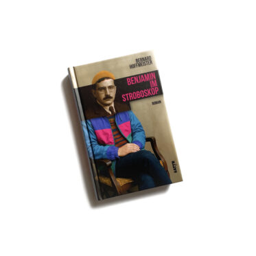 Bernard Hoffmeister, Benjamin im Stroboskop, Cover